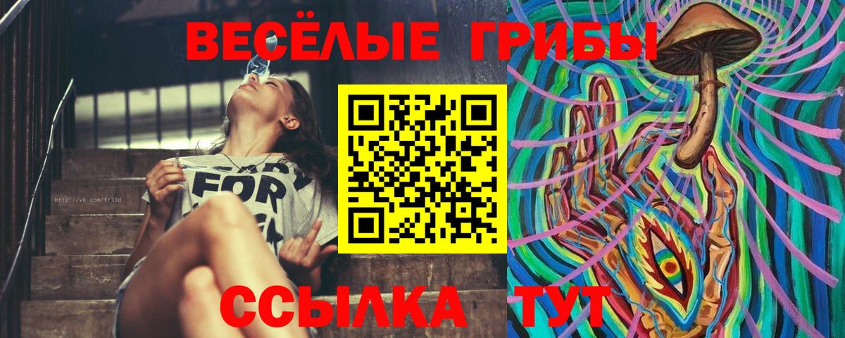 Галлюциногенные грибы Cubensis Барнаул