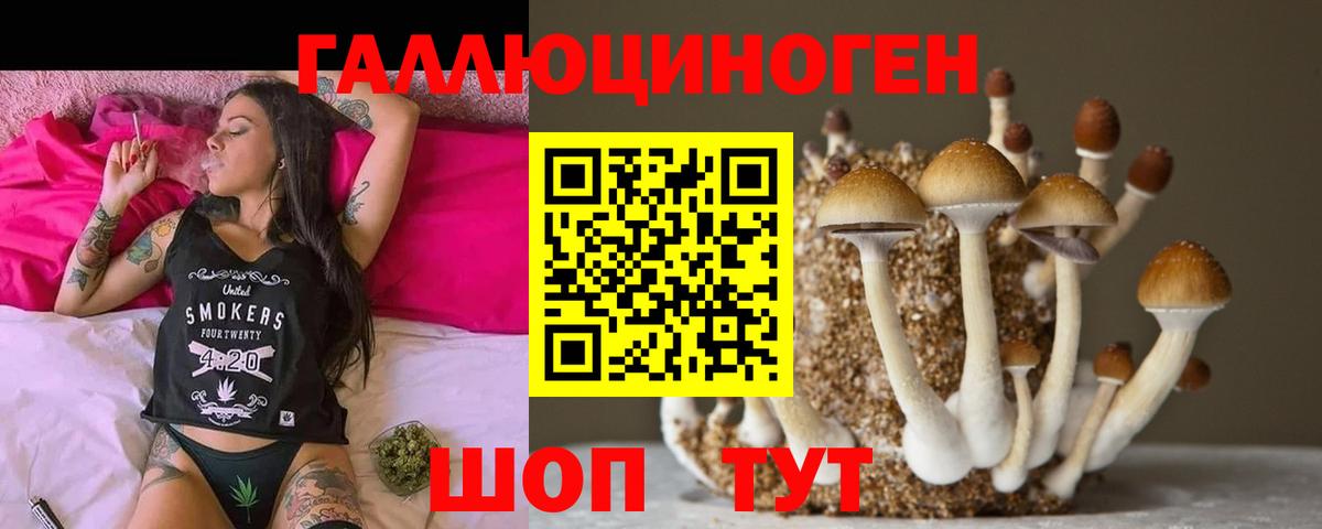 Барнаул  Галлюциногенные грибы Magic Shrooms  Псилоцибиновые грибы Psilocybe  Вход с VPN 